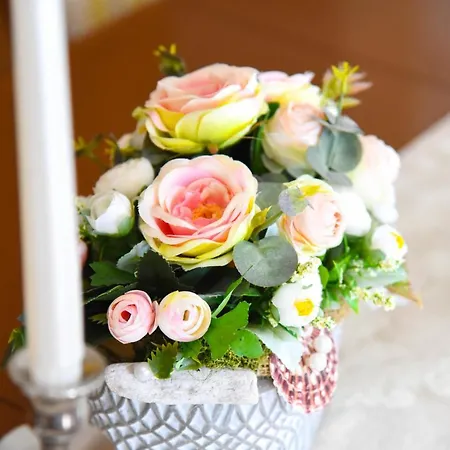 Ana וילה קומרנה